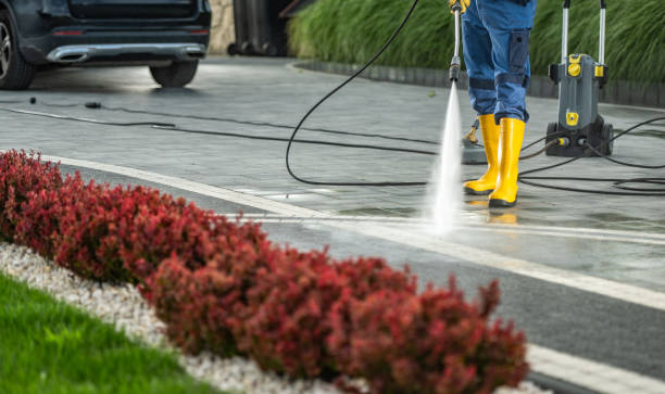Best Garage Pressure Washing  in , HI